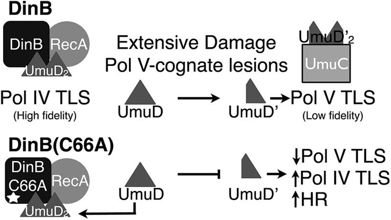 Fig 10