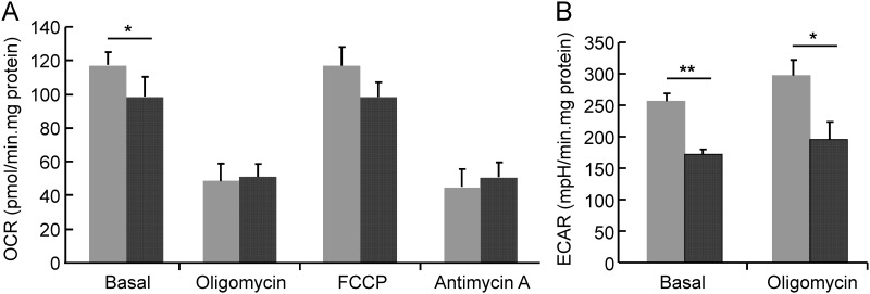 Fig 7