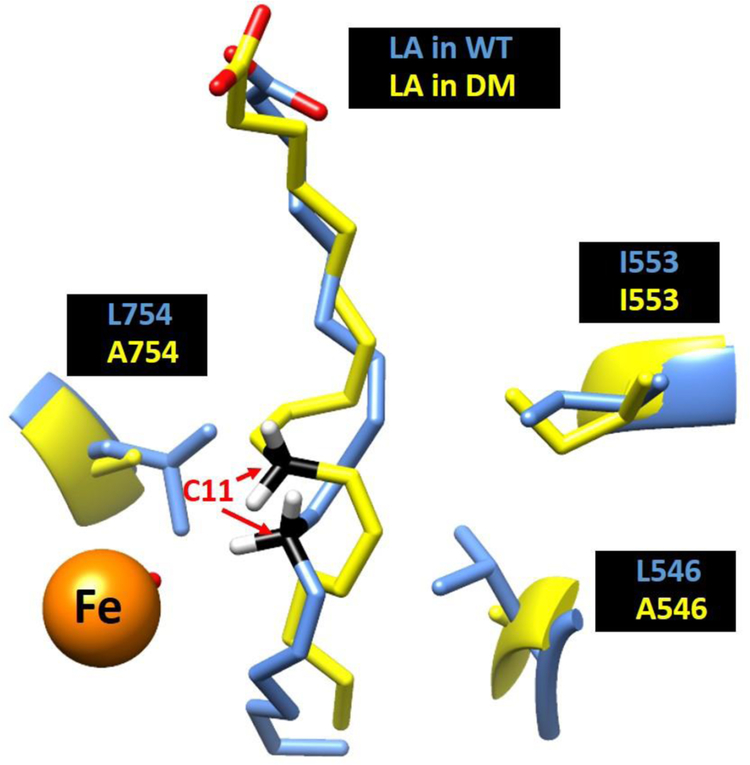 Figure 6: