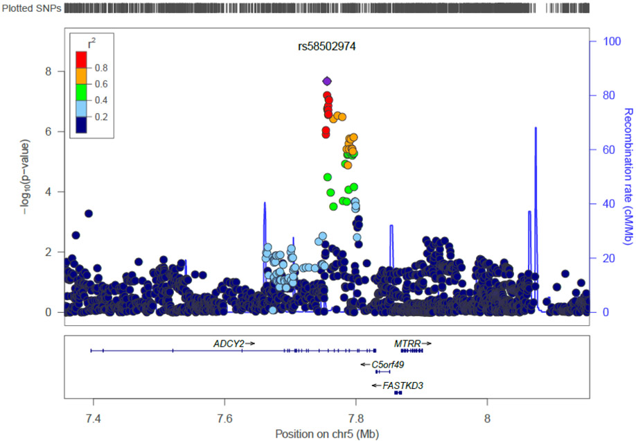 Figure 2C.