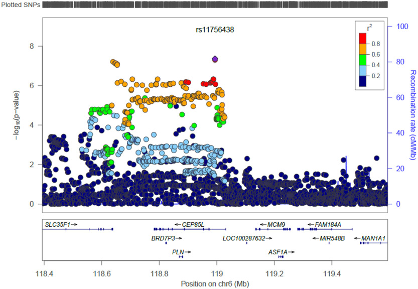 Figure 2B.