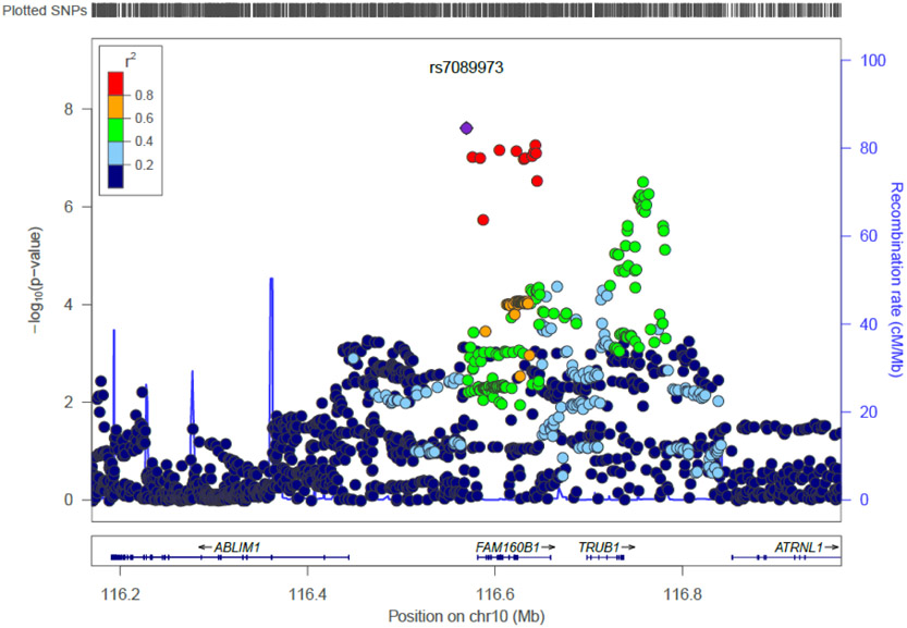 Figure 2A.