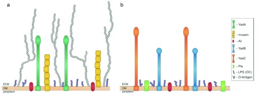 Figure 3. 