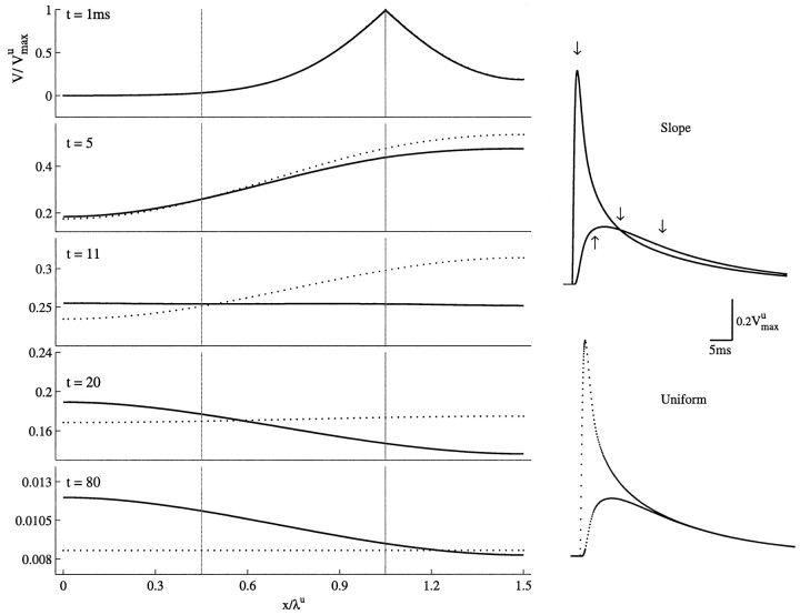 Fig. 8.