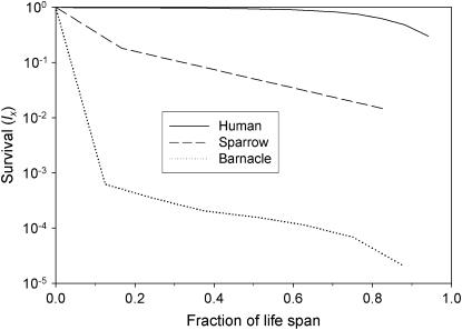 Figure 1.—