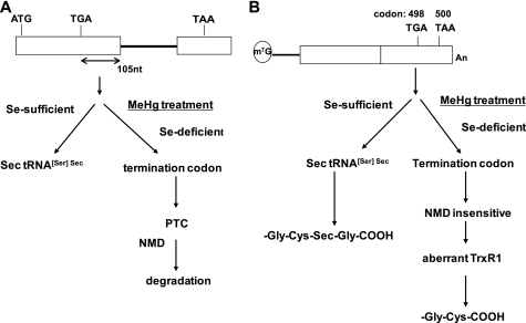 FIGURE 9.