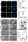 FIG 6
