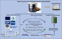 Figure 1 is a schematic diagram of the Human Exposome and Metabolite Database establishment workflow having four steps. Step 1: Human Exposome and Metabolite Database with an icon of a database leads to Human Exposome and Metabolite Database graphical user interface with an icon of a laptop, Database and literature fusion, including U.S. Environmental Protection Agency, Centers for Disease Control and Prevention, U.S. Food and Drug Administration, National Institutes of Health, Exposome Explorer, Literature. The literature includes: disinfection by products; gut microbiome metabolites; air, dust, water; and mycotoxins. Step 2: Database and literature fusion leads to Systematic Empirical Evaluation of Models exposure prediction, where probabilistic hazard quotient equals estimated human exposure over toxicity data; Risk index equals exposure begin subscript normalized end subscript times Toxicological Priority Index score; and Toxicity Estimation Software Tool toxicity prediction per Toxicological Priority Index score. The literature with Iterative Fragment Selection method leads to half life prediction. Step 3: Systematic Empirical Evaluation of Models exposure prediction leads to risk-based prioritization and half life prediction with biotransformer, the Metabolomics innovation center leads to biotransformation metabolite prediction. Step 4: Biotransformation metabolite prediction leads to Candidate metabolite database with an icon of a database.