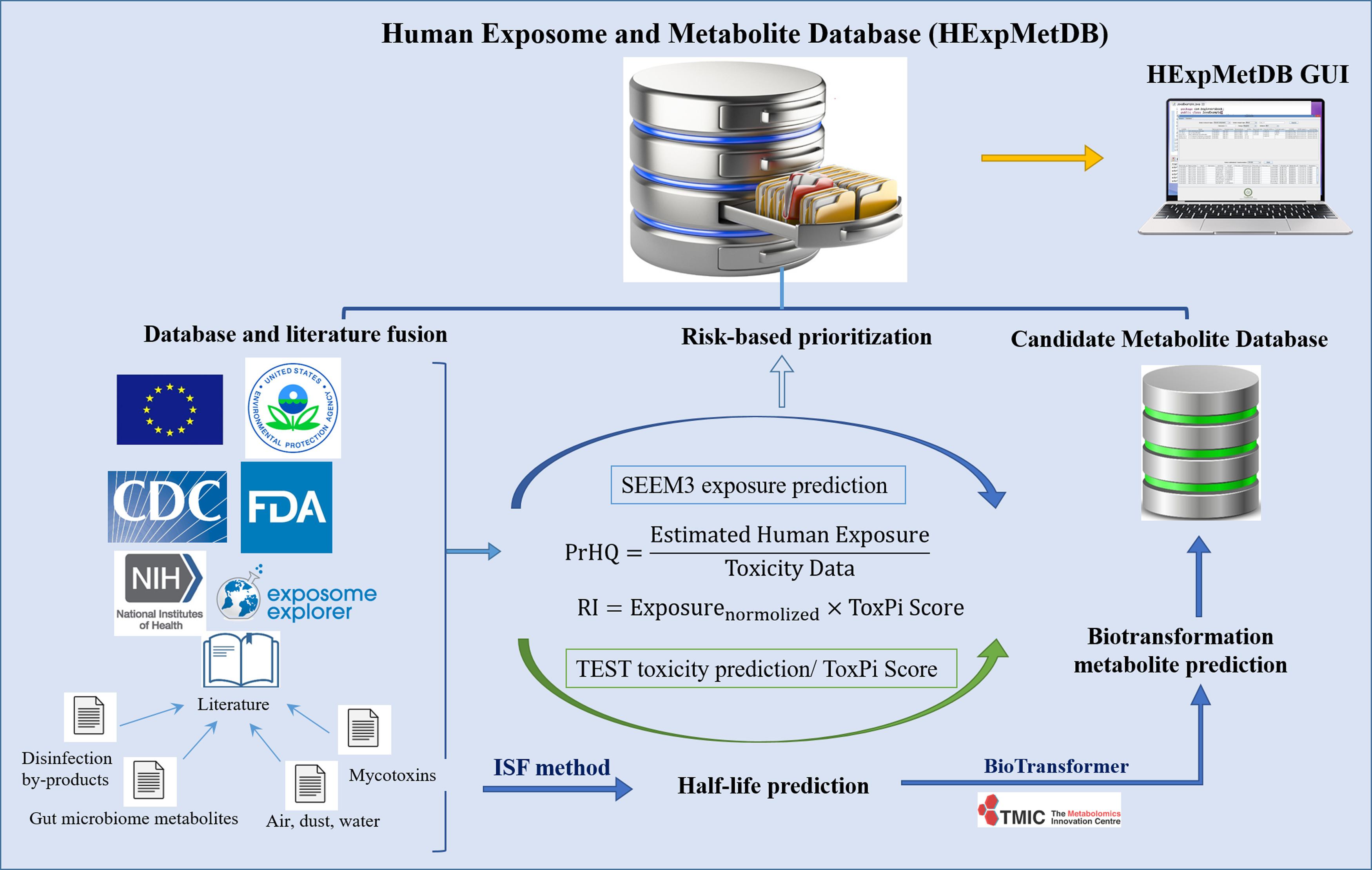 Figure 1 is a schematic diagram of the Human Exposome and Metabolite Database establishment workflow having four steps. Step 1: Human Exposome and Metabolite Database with an icon of a database leads to Human Exposome and Metabolite Database graphical user interface with an icon of a laptop, Database and literature fusion, including U.S. Environmental Protection Agency, Centers for Disease Control and Prevention, U.S. Food and Drug Administration, National Institutes of Health, Exposome Explorer, Literature. The literature includes: disinfection by products; gut microbiome metabolites; air, dust, water; and mycotoxins. Step 2: Database and literature fusion leads to Systematic Empirical Evaluation of Models exposure prediction, where probabilistic hazard quotient equals estimated human exposure over toxicity data; Risk index equals exposure begin subscript normalized end subscript times Toxicological Priority Index score; and Toxicity Estimation Software Tool toxicity prediction per Toxicological Priority Index score. The literature with Iterative Fragment Selection method leads to half life prediction. Step 3: Systematic Empirical Evaluation of Models exposure prediction leads to risk-based prioritization and half life prediction with biotransformer, the Metabolomics innovation center leads to biotransformation metabolite prediction. Step 4: Biotransformation metabolite prediction leads to Candidate metabolite database with an icon of a database.