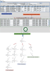 Figure 5 is a flow chart having two steps. Step 1: A tabular representation titled search has fifteen columns and ten rows. The columns are: Identification number, Chemical Abstracts Service Registry Number, Distributed Structure-Searchable Toxicity substance identifier displays compound searching module, name, International Union of Pure and Applied Chemistry, molecular, biotransformation half-life, Systematic Empirical Evaluation of Models, Oral rat Lethal Dose, Toxicological Priority Index, probabilistic reference dose, probabilistic hazard quotient, probabilistic hazard quotient, risk index, and risk index ratio. Below, another tabular representation titled select a metabolic transformation displays biotransformation metabolite prediction module has fifteen columns and eleven rows. The columns are: molecular, major isotope, International Chemical Identifier, synonyms, InChlkey, AlogP, Precursor underscore I D, Precursor, Precursor, Precursor, reaction, reaction identifier, metabolite identifier, enzyme, and biosystem. Step 2: Step 1 and Human Exposome and Metabolite Database with chemical formula icon inside a circle lead to biotransformation metabolite prediction results. Step 3: biotransformation metabolite prediction results has three chemical components: Cytochrome 450 transformation, E C based transformation, and Human gut Microbial transformation. All three chemical components have chemical formula structure.