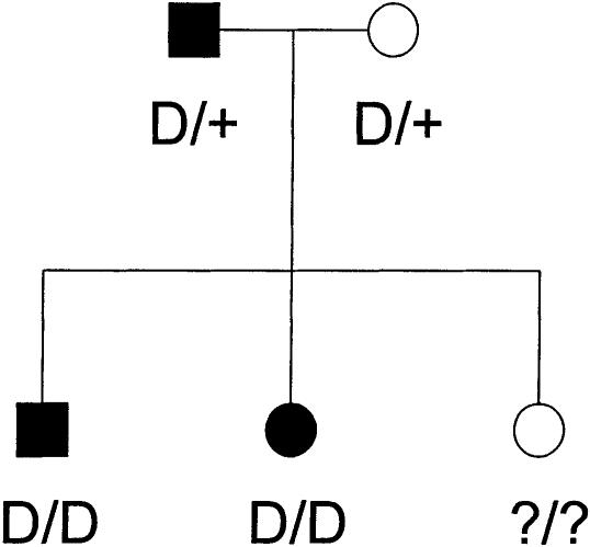 Figure  2