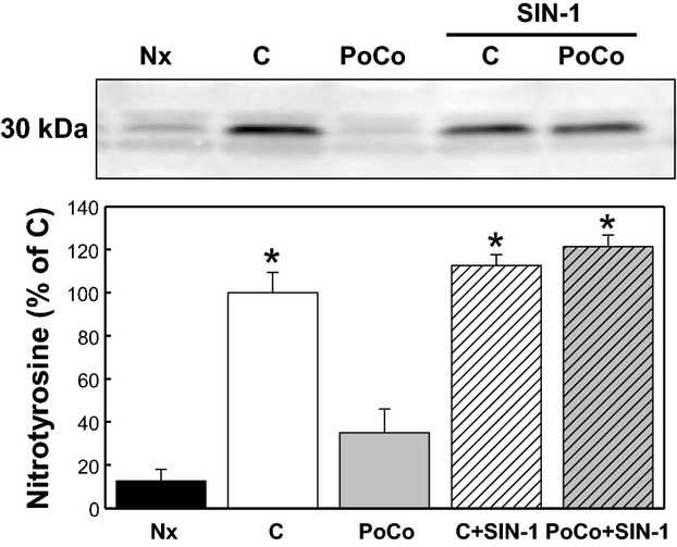 Figure 10.