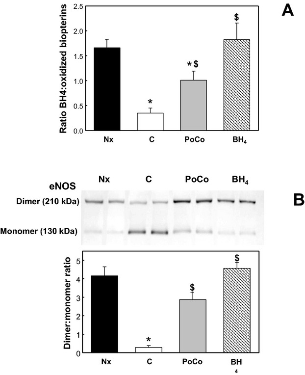 Figure 7.