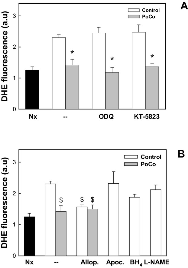 Figure 9.