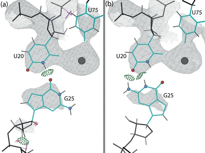 Figure 6.