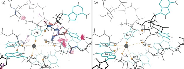 Figure 7.