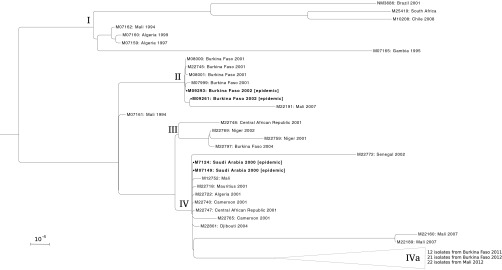 FIG 1 