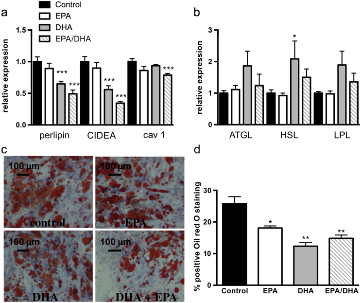 Figure 4: