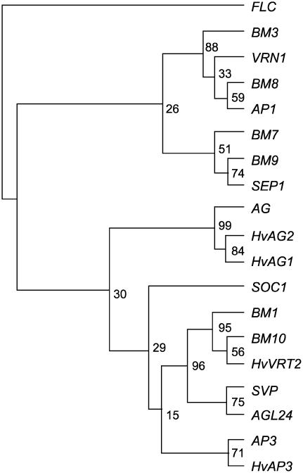 Figure 1.