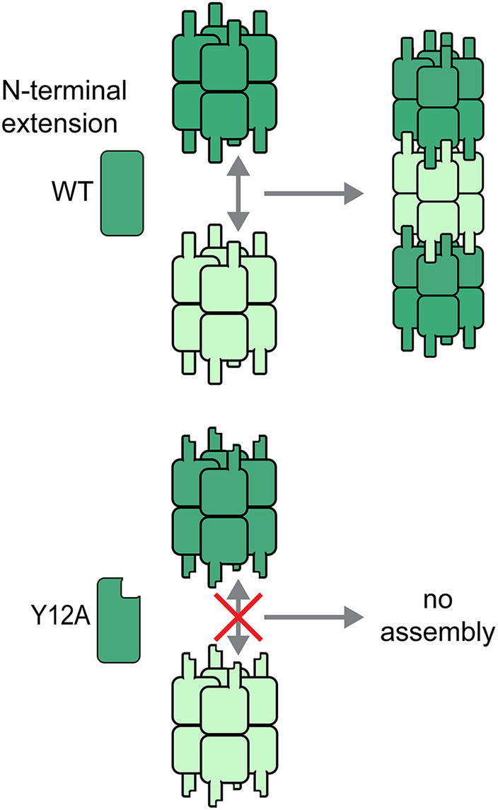 FIGURE 1: