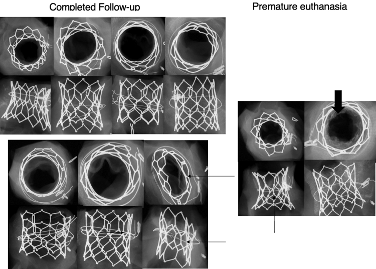 Figure 4