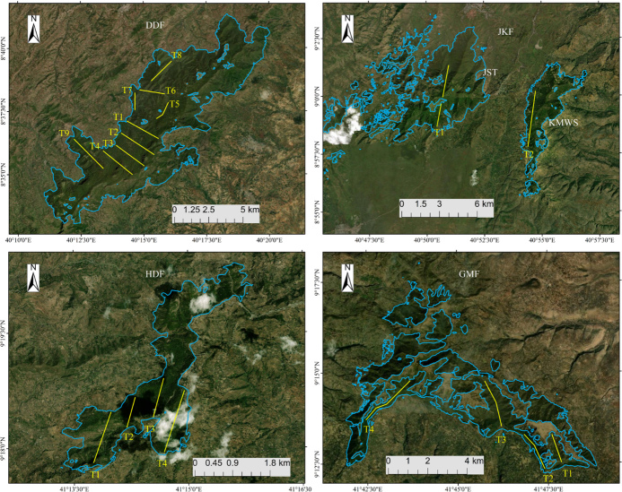 Figure 3