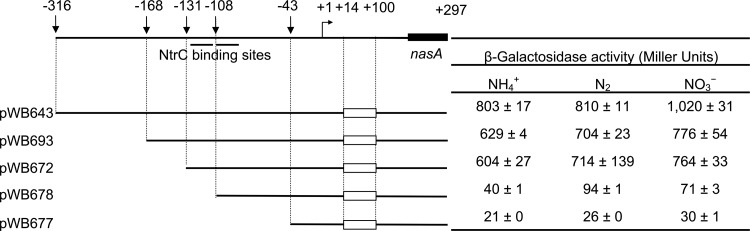 Fig 5