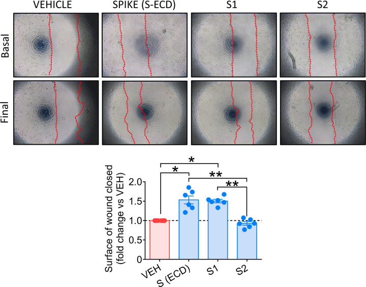 Figure 6