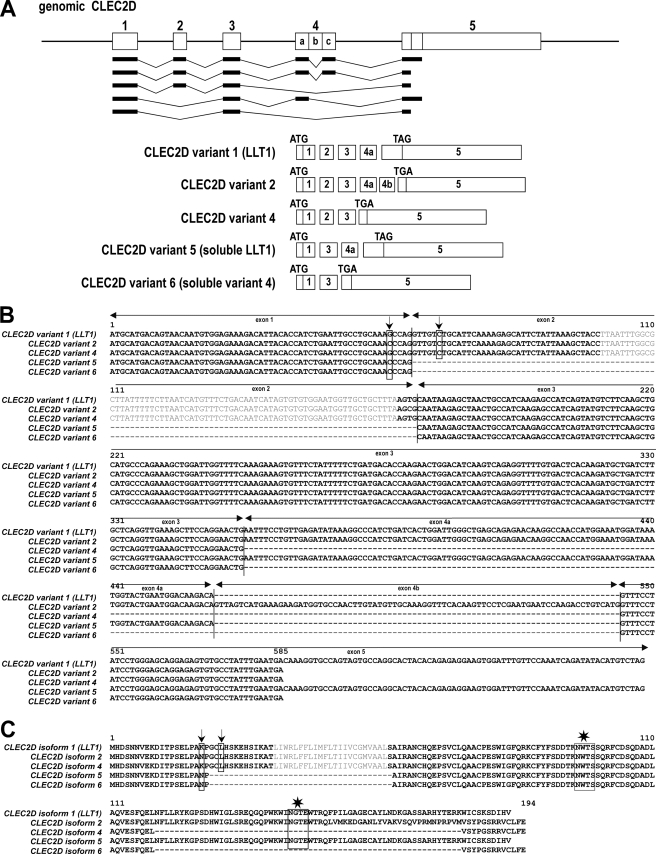 FIGURE 1.