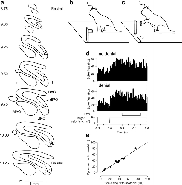 Fig. 4