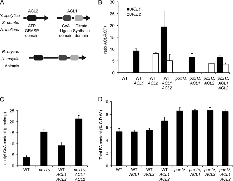 FIG 3