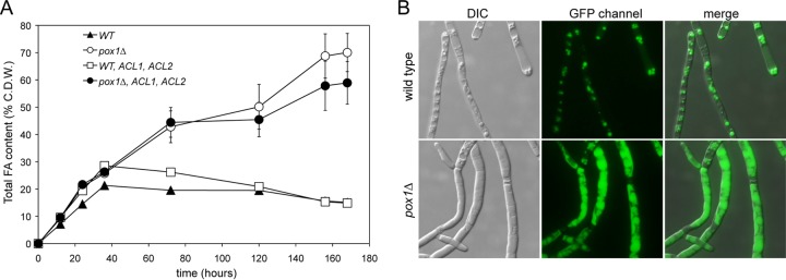 FIG 4