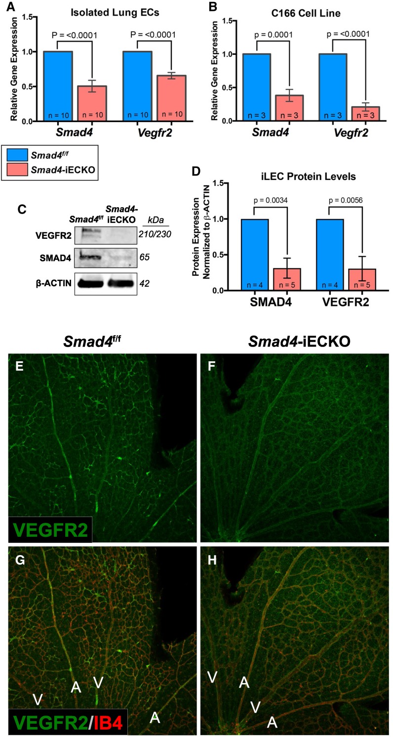 Fig. 6