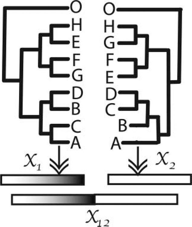 Figure 9.