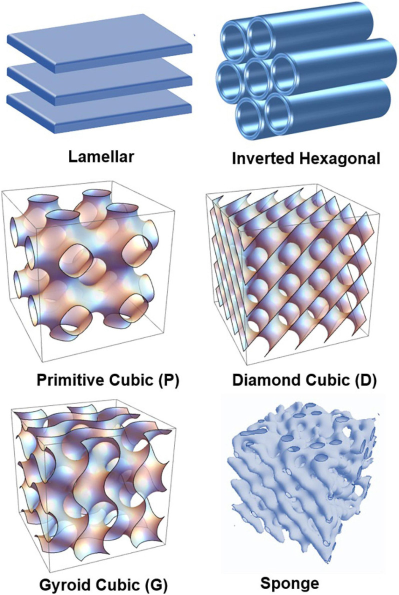 FIGURE 1