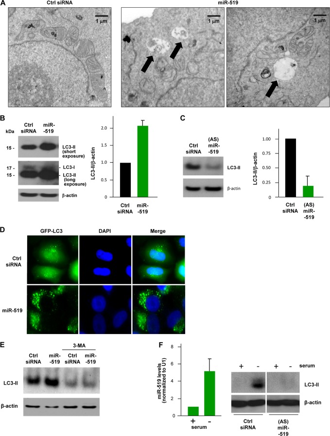 Fig 9