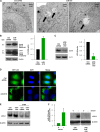 Fig 9