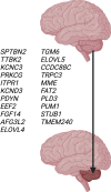 Fig. 2