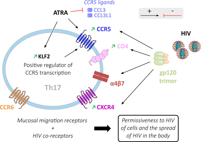 Figure 3