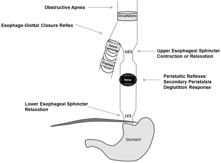 FIGURE 3 