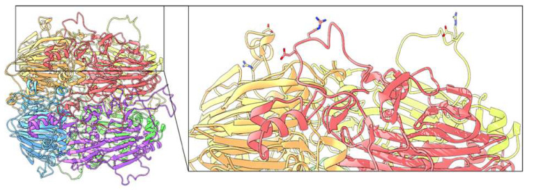 Figure 7