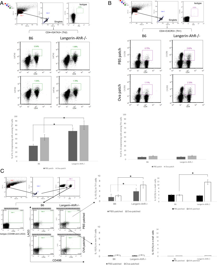 Fig. 7.