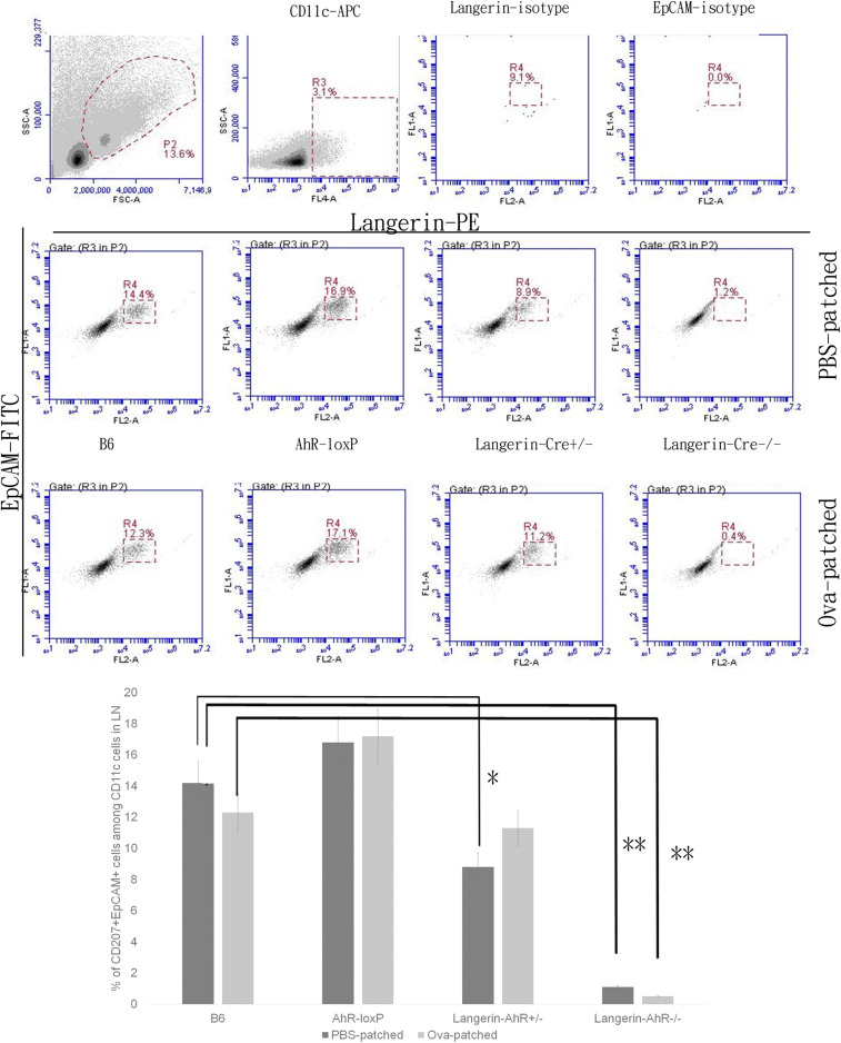 Fig. 4.