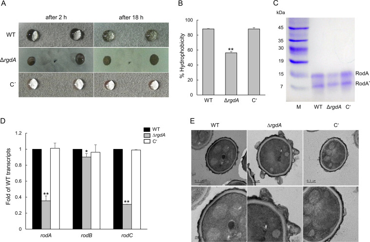 FIG 6