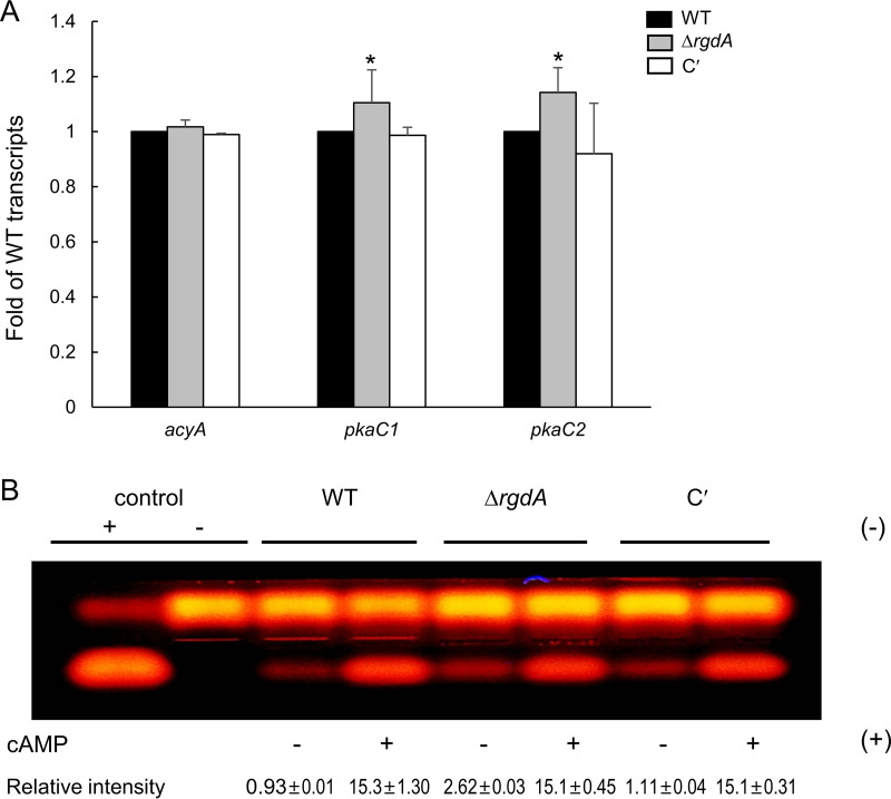 FIG 3