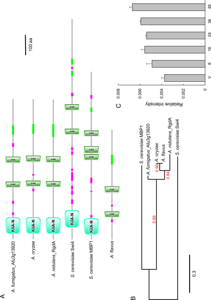 FIG 1