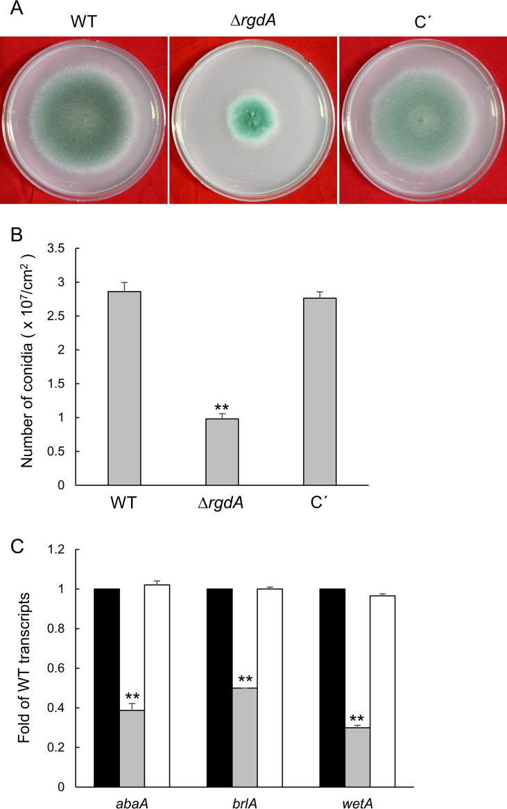 FIG 2