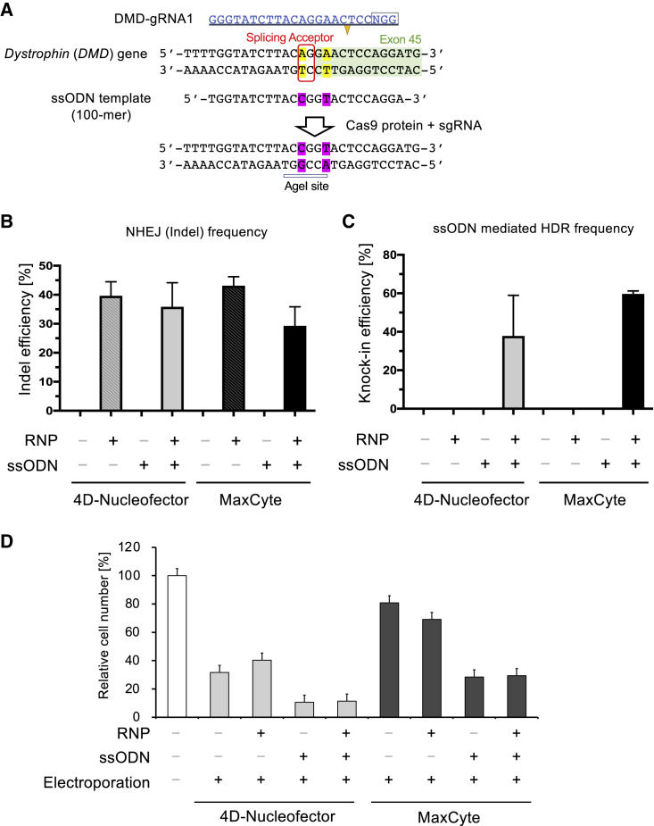 Figure 3