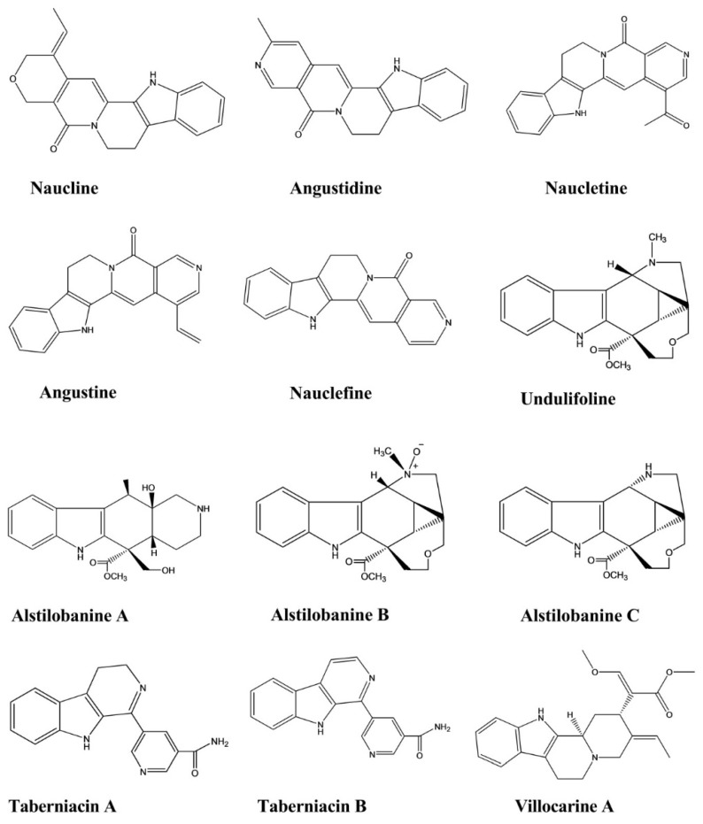 Figure 11