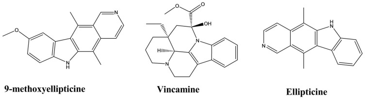 Figure 17